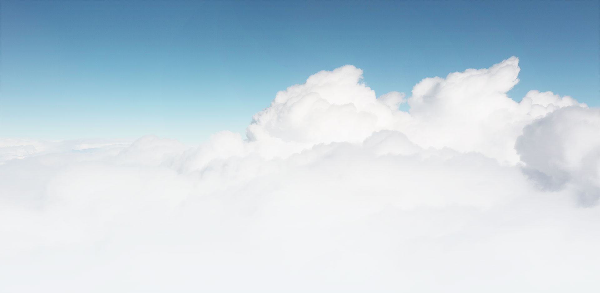 campaign background