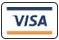 Visa Card Ikon